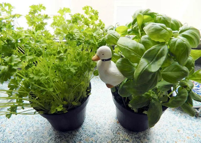 Burgblick Трабен-Трарбах